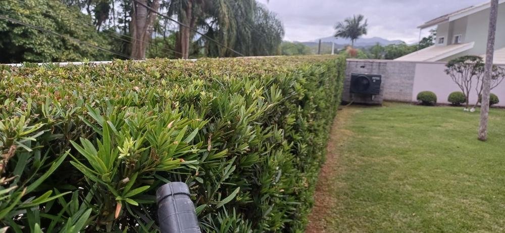 Cerca viva aparada com precisão em jardim residencial atendido pela Novack